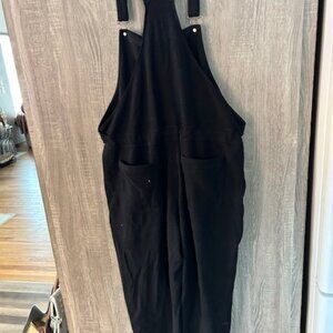 WOMENS DULUTH TRADING BIB OVERALLS